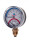 Термоманометр радиальный 0-120°С 0-6 бар Диамонд